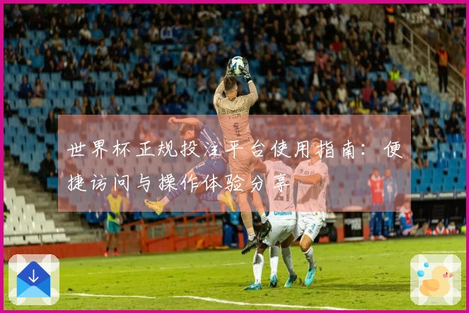 世界杯正规投注平台使用指南：便捷访问与操作体验分享