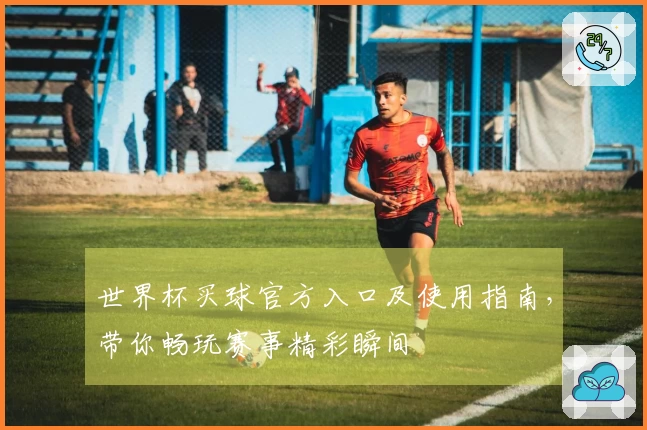 世界杯买球官方入口及使用指南，带你畅玩赛事精彩瞬间