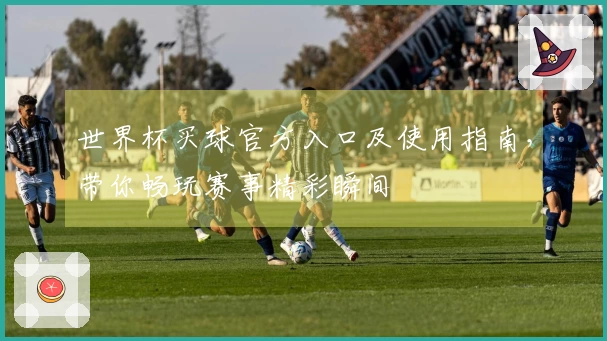 世界杯买球官方入口及使用指南，带你畅玩赛事精彩瞬间