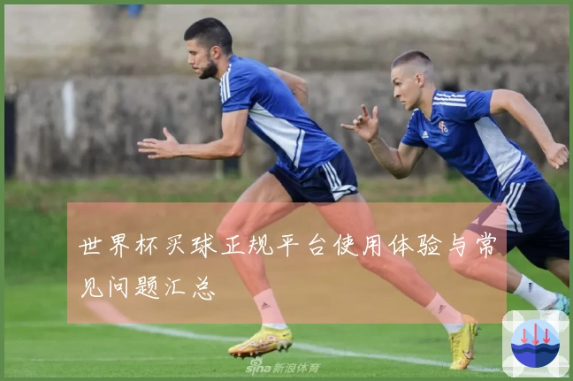 世界杯买球正规平台使用体验与常见问题汇总