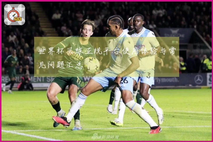 世界杯买球正规平台使用体验与常见问题汇总