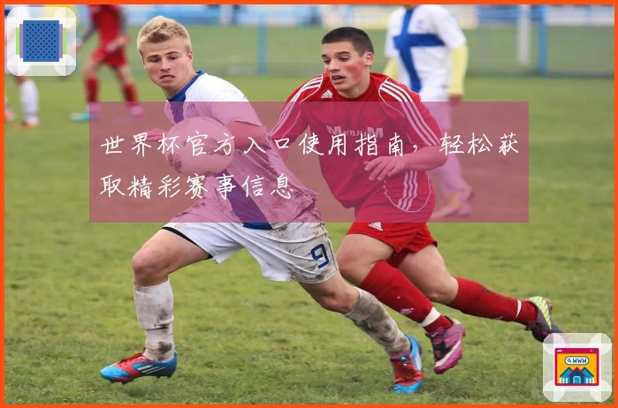 世界杯官方入口使用指南，轻松获取精彩赛事信息