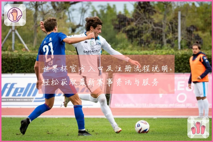 世界杯官方入口及注册流程说明，轻松获取最新赛事资讯与服务