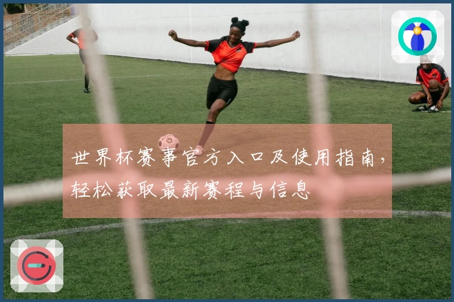 世界杯赛事官方入口及使用指南，轻松获取最新赛程与信息