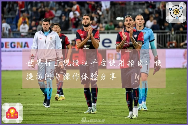 世界杯正规投注平台使用指南：便捷访问与操作体验分享